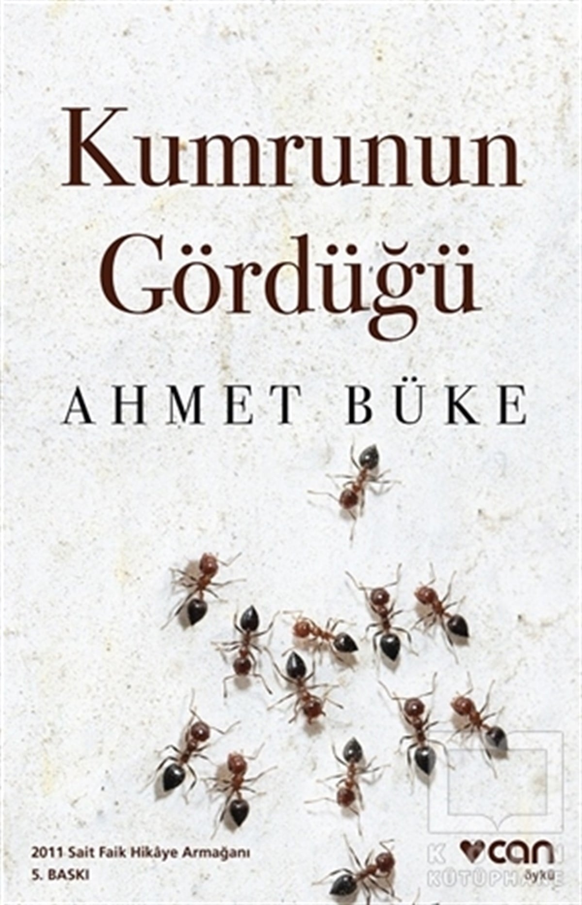 Ahmet BükeÖyküKumrunun Gördüğü