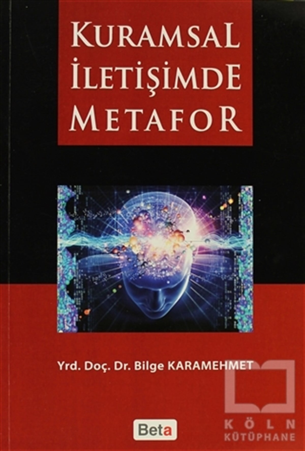 Bilge KaramehmetAkademikKuramsal İletişimde Metafor