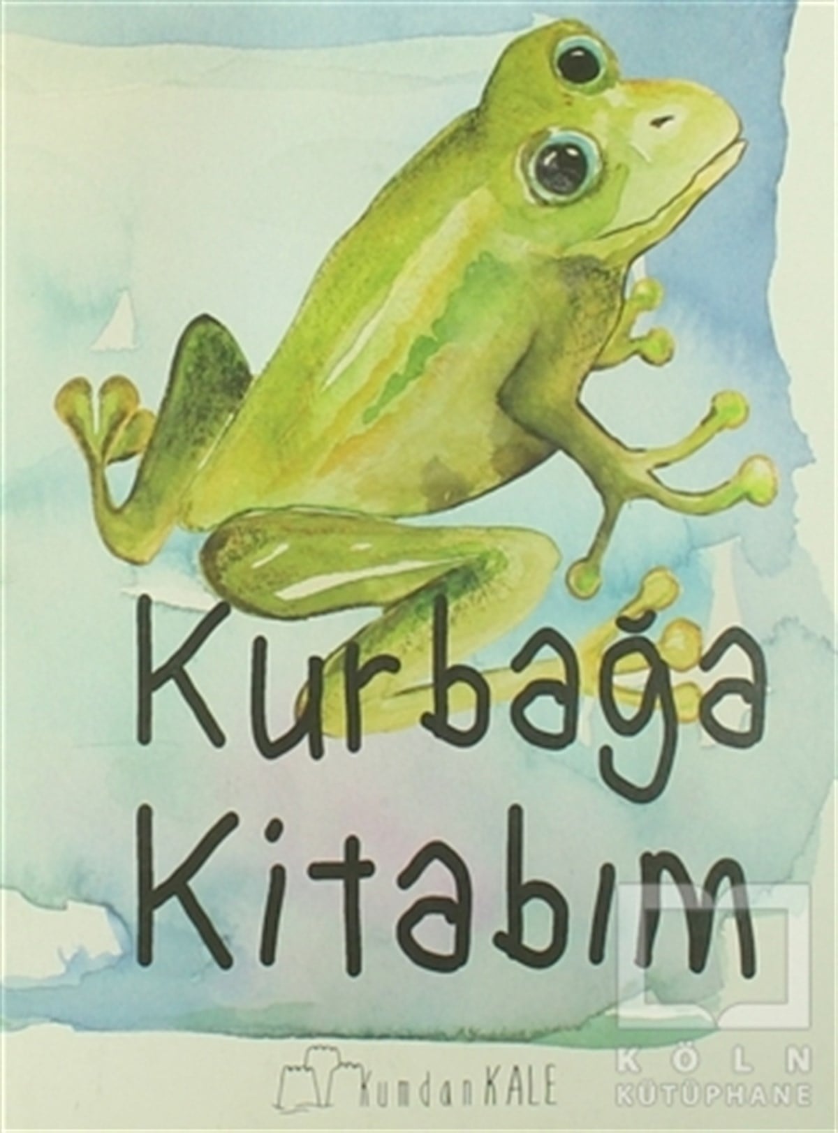 Işıl ErverdiOkul Öncesi Şekilli KitaplarKurbağa Kitabım