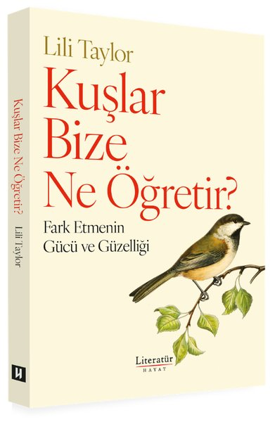 Lili TaylorDeneme KitaplarıKuşlar Bize Ne Öğretir? Fark Etmenin Gücü ve Güzelliği