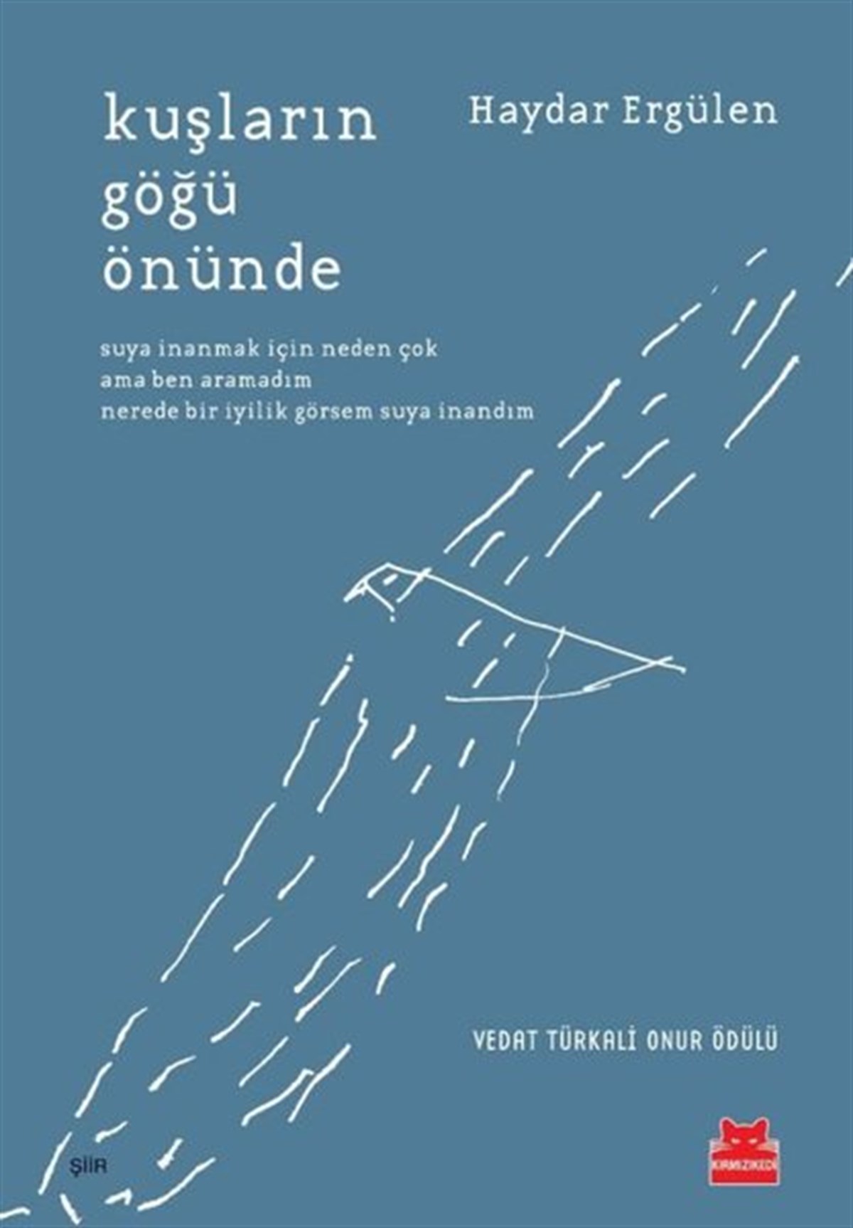 Haydar ErgülenTürk ŞiiriKuşların Göğü Önünde