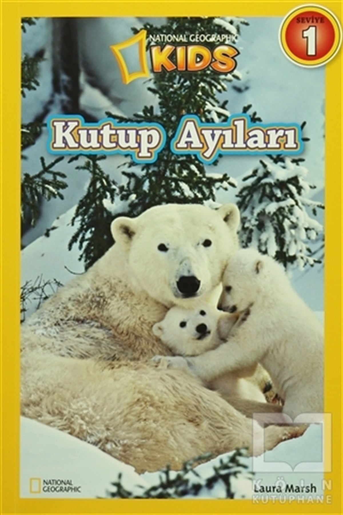Laura MarshBilimsel KitaplarKutup Ayıları Seviye 1