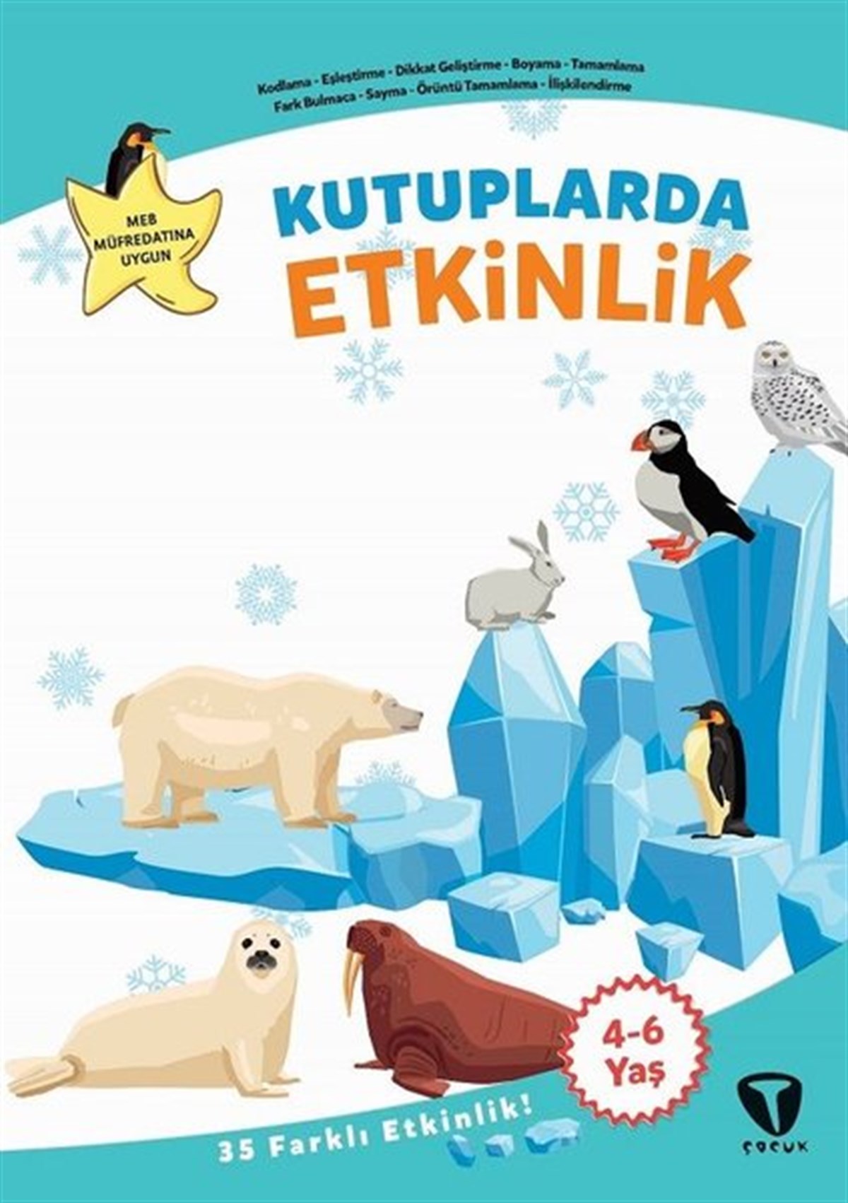 Fatma Hazan TürkkolEgitim Etkinlik KitaplariKutuplarda Etkinlik