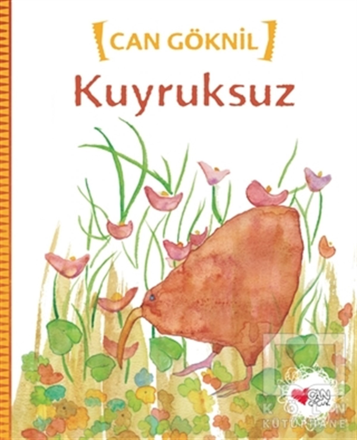 Can GöknilOkul Öncesi Resimli KitaplarKuyruksuz