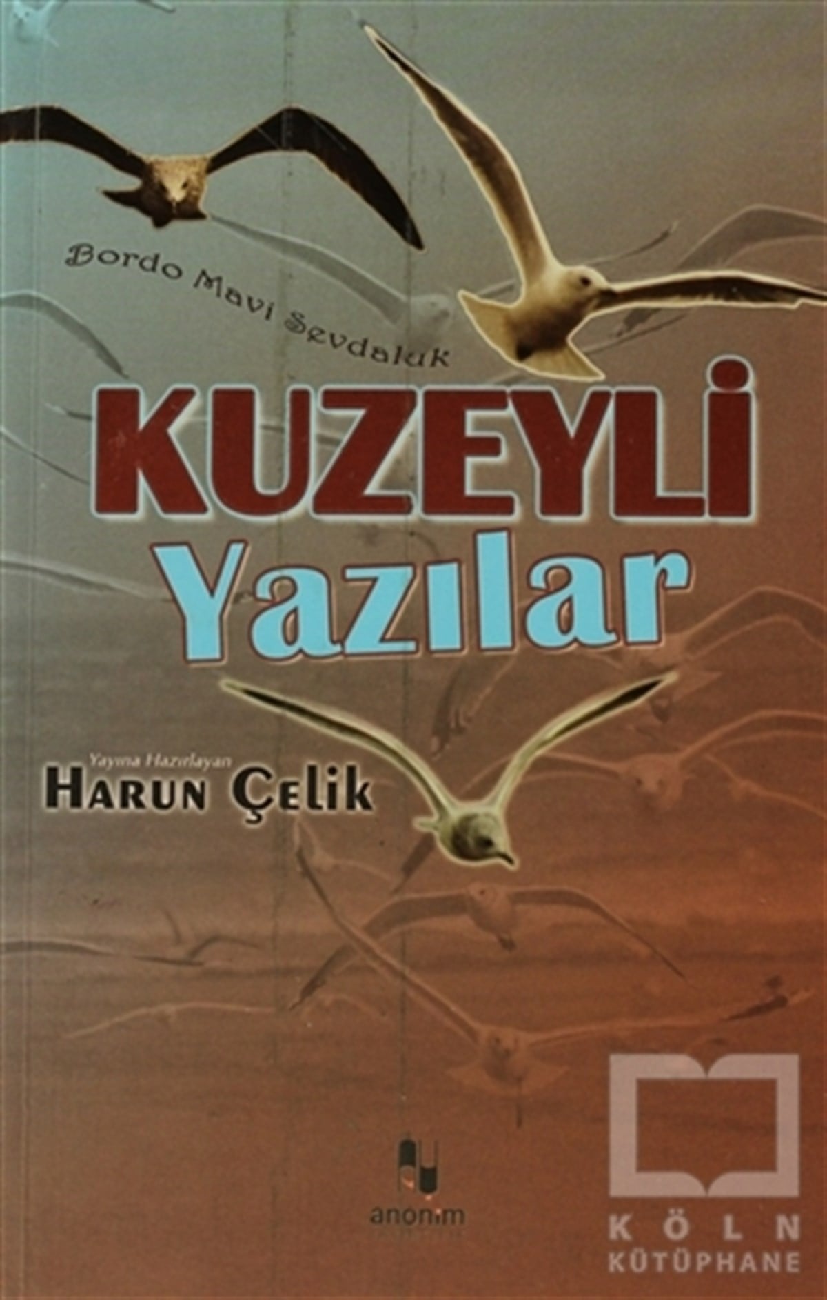 Harun ÇelikDiğerKuzeyli Yazılar