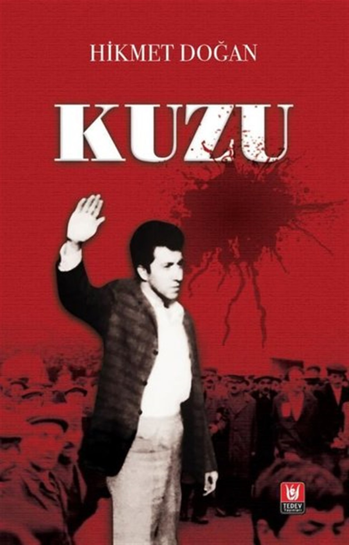 Hikmet DoğanTürkiye RomanKuzu