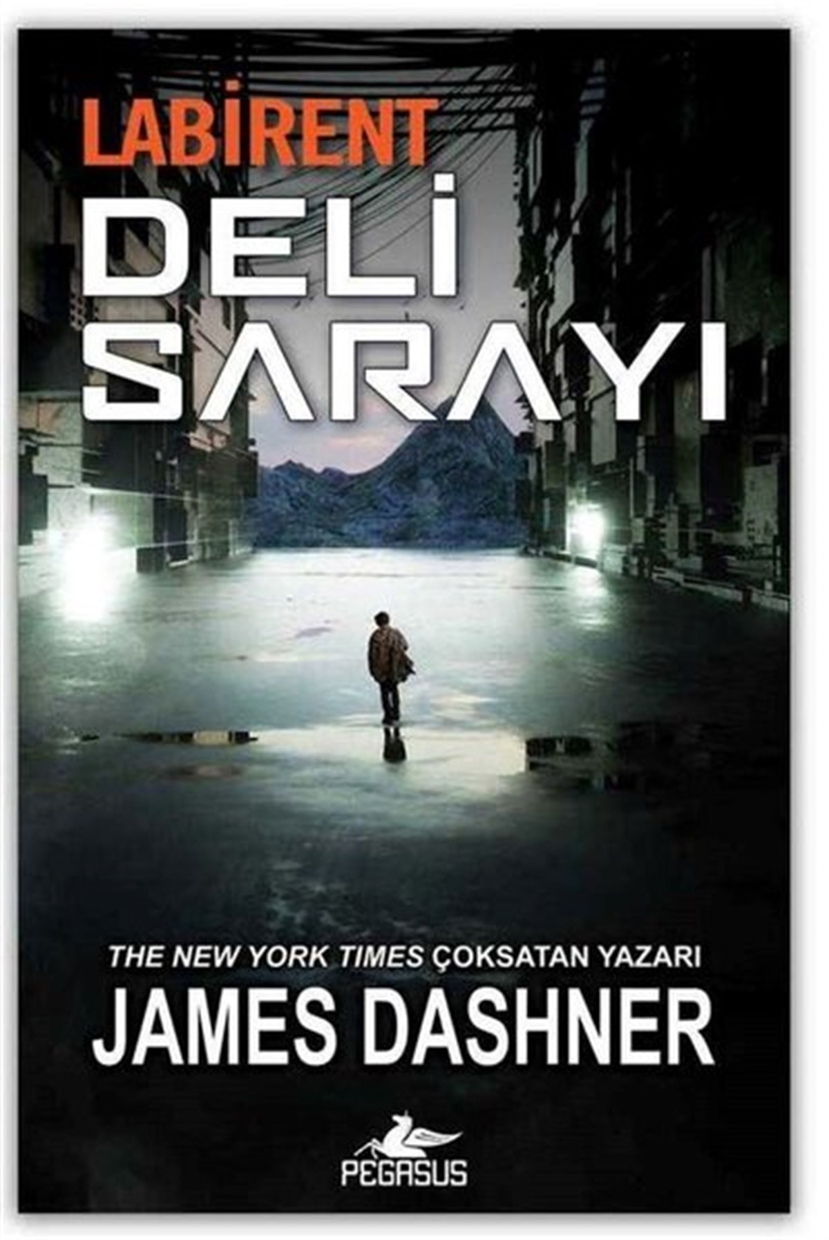 James DashnerDünya RomanLabirent: Deli Sarayı