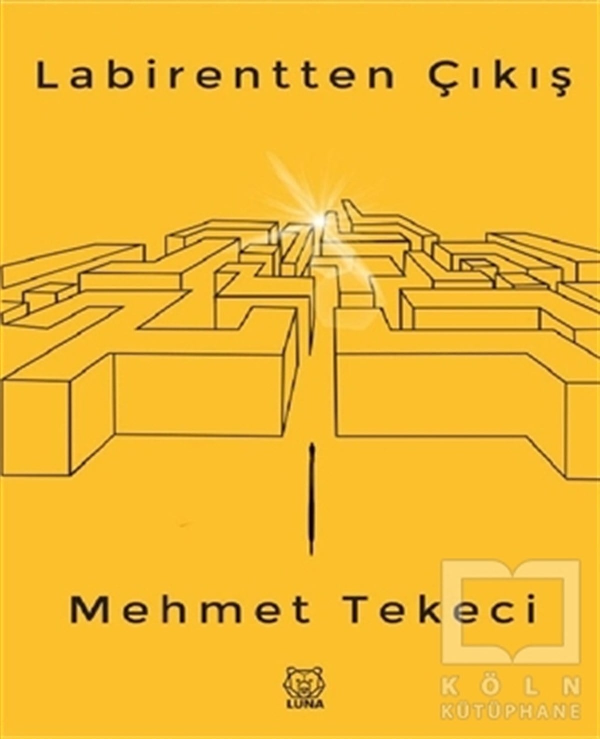 Mehmet TekeciDeneme KitaplarıLabirentten Çıkış