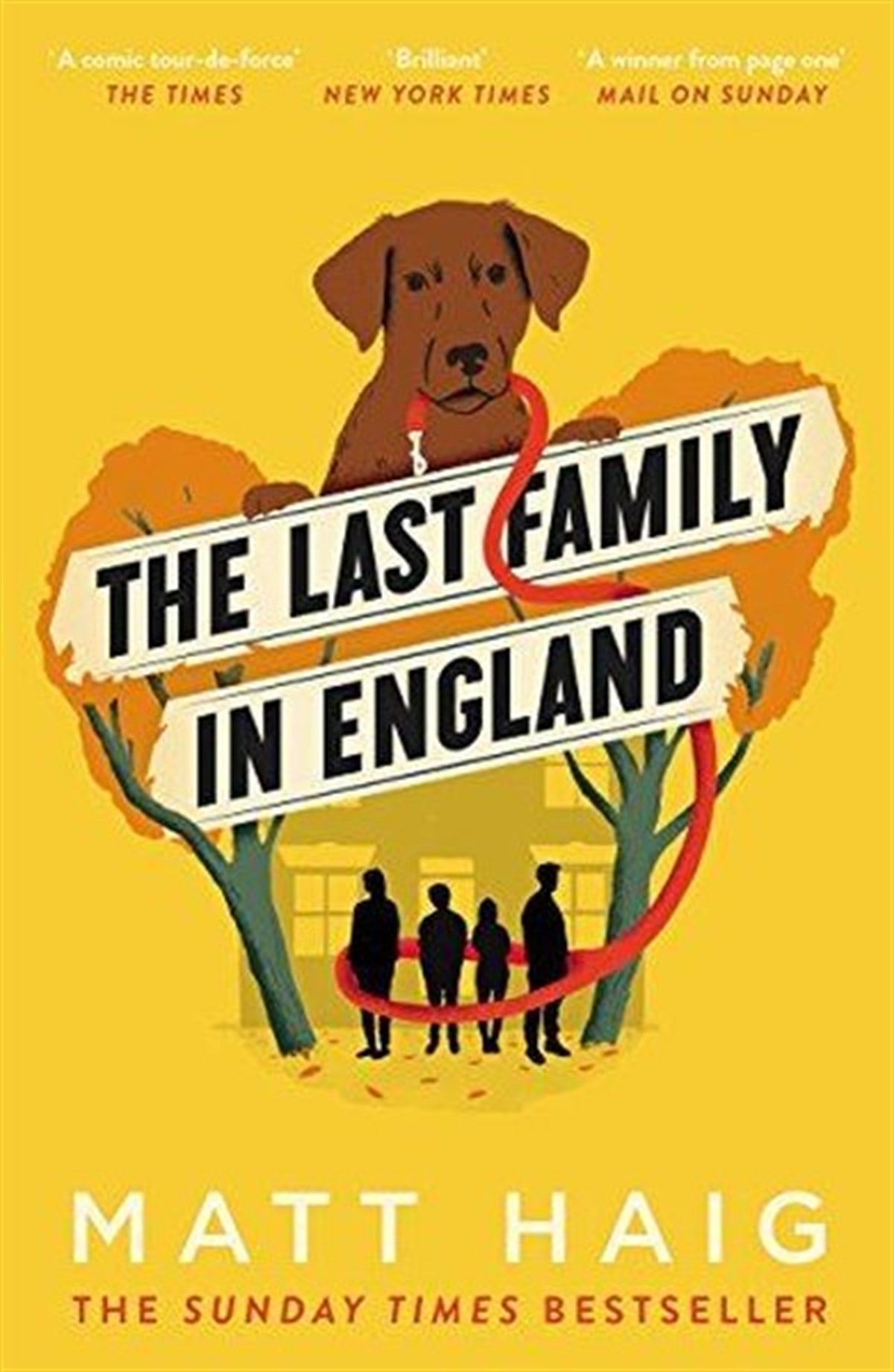 Matt HaigLiteratureLast Family in England