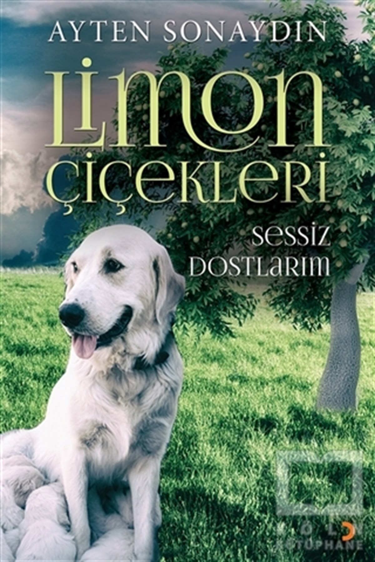 Ayten SonaydınÖyküLimon Çiçekleri