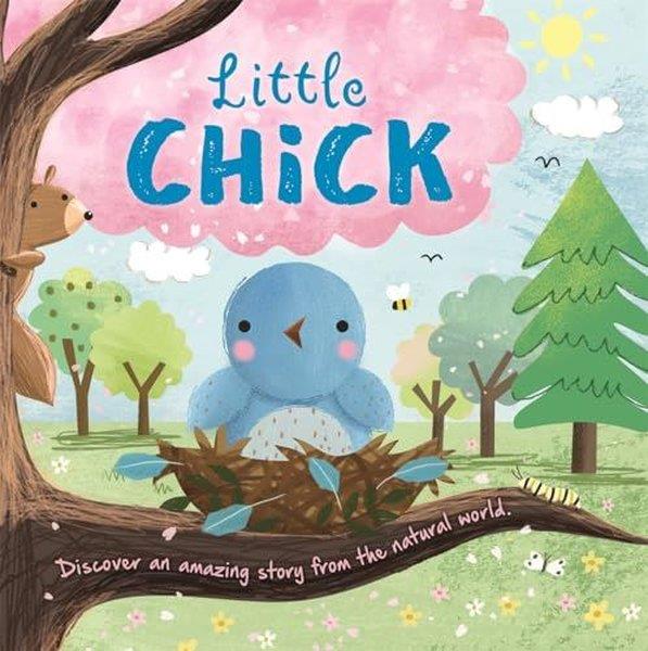 KolektifPreschoolLittle Chick