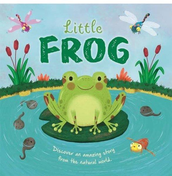 Autumn PublishingPreschoolLittle Frog
