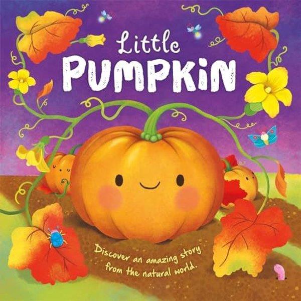 Autumn PublishingPreschoolLittle Pumpkin
