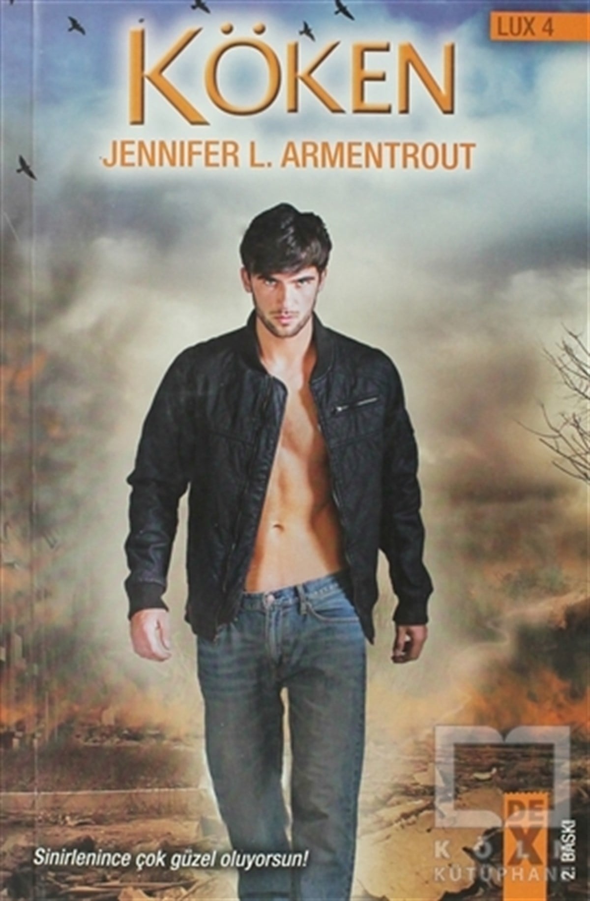 Jennifer L. ArmentroutFantastikLux 4 - Köken