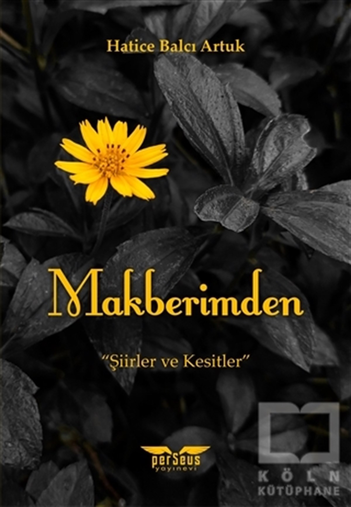 Hatice Balcı ArtukTürkçe Şiir KitaplarıMakberimden