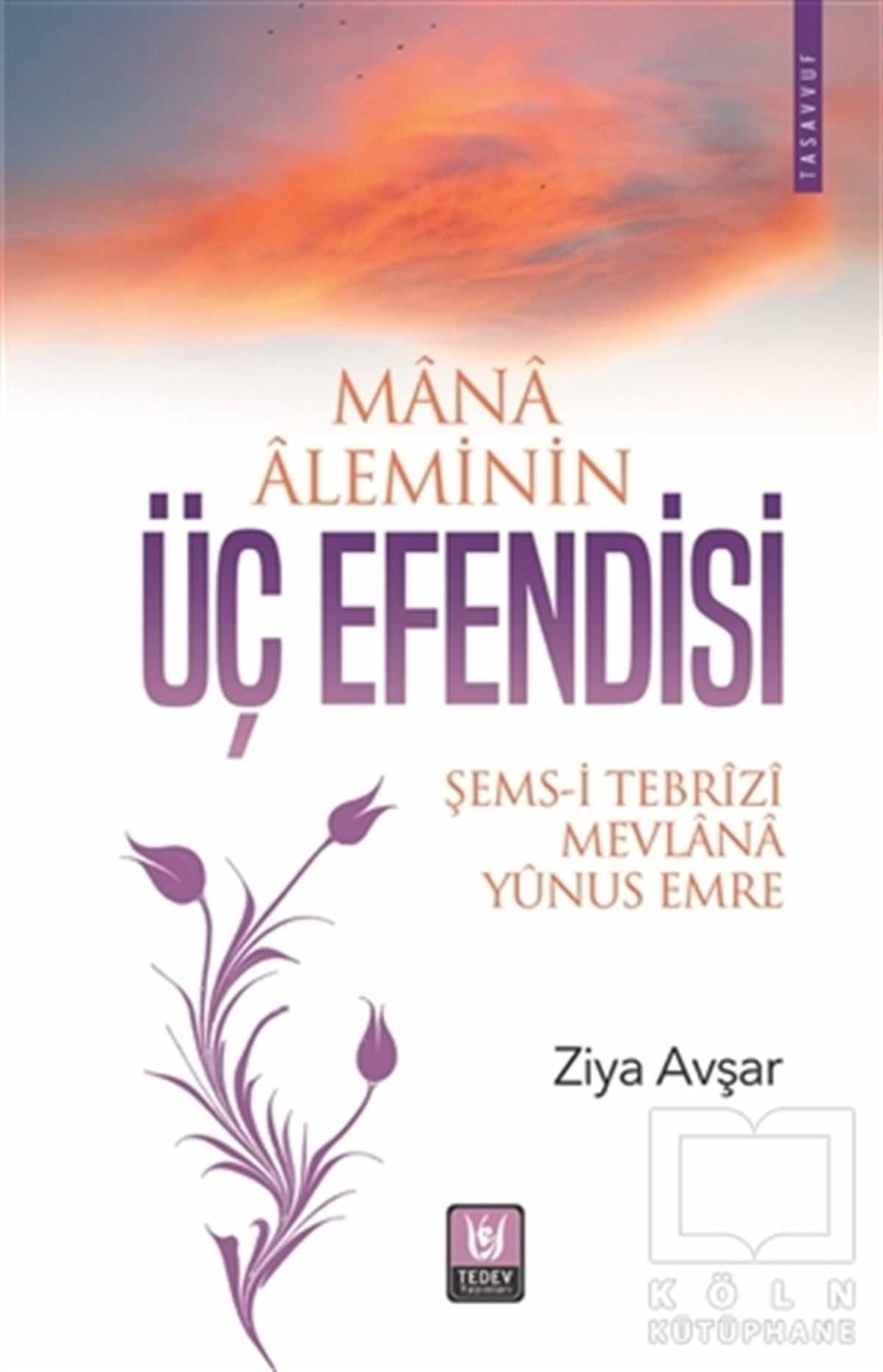 Ziya AvşarTasavvuf KitaplarıMana Aleminin Üç Efendisi