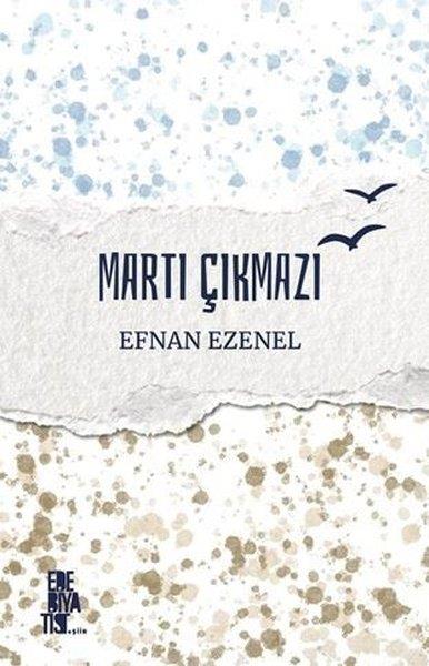 Efnan EzenelTürk ŞiiriMartı Çıkmazı