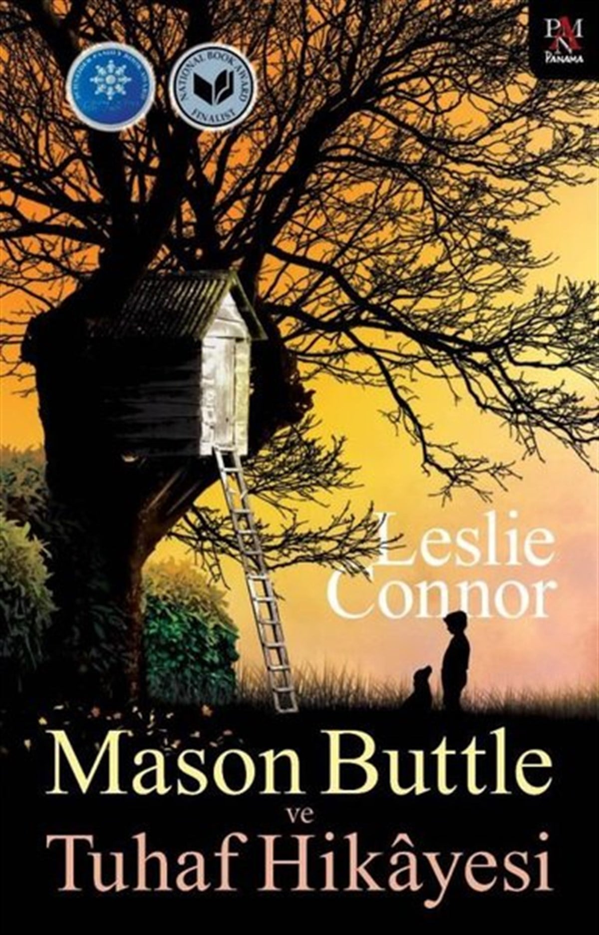 Leslie ConnorÇocuk Gençlik RomanlarıMason Buttle ve Tuhaf Hikayesi