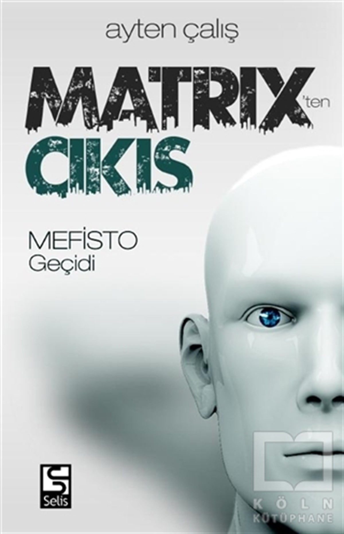 Ayten ÇalışTürk EdebiyatıMatrix'ten Çıkış