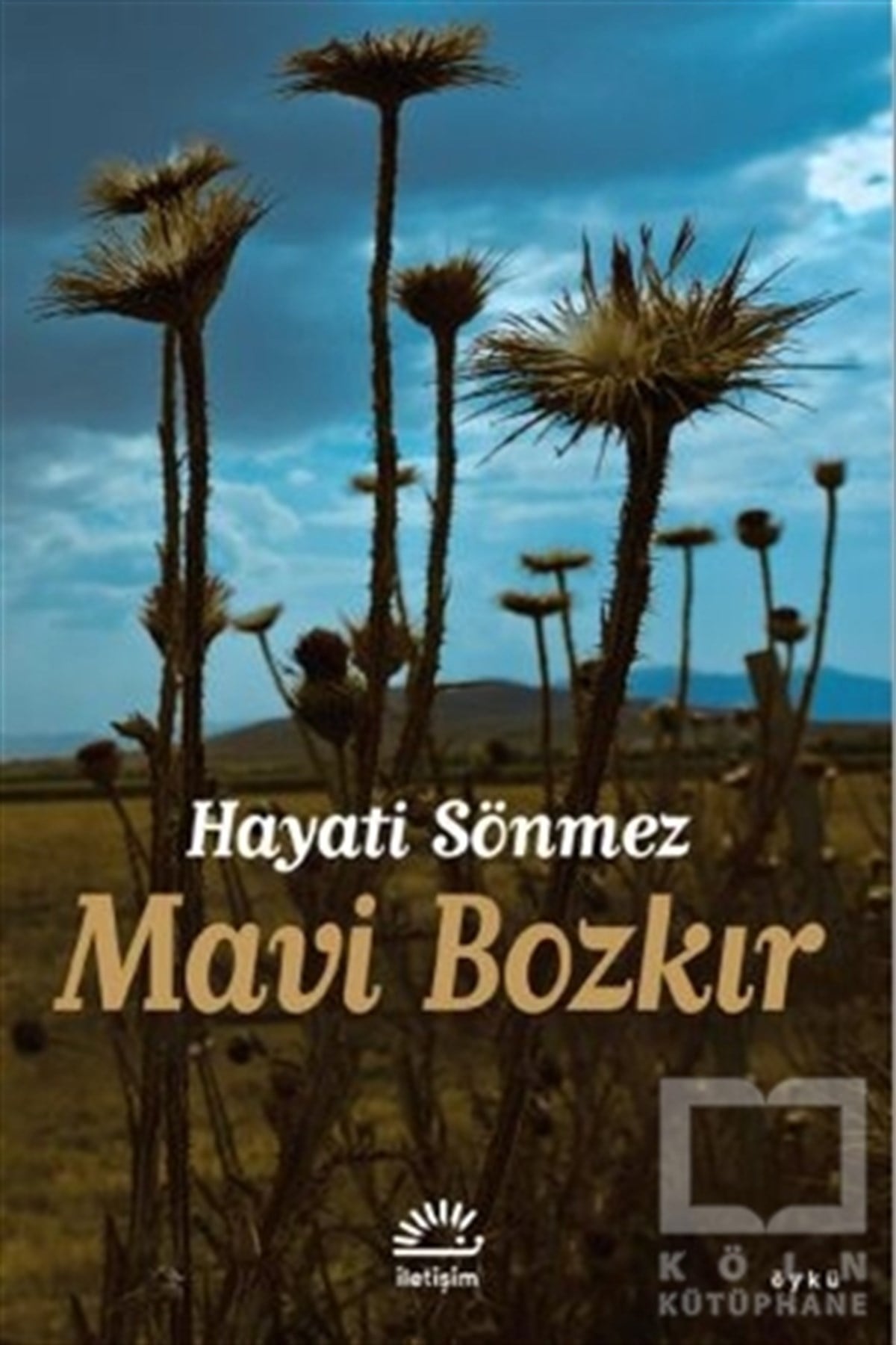 Hayati SönmezHikaye (Öykü) KitaplarıMavi Bozkır