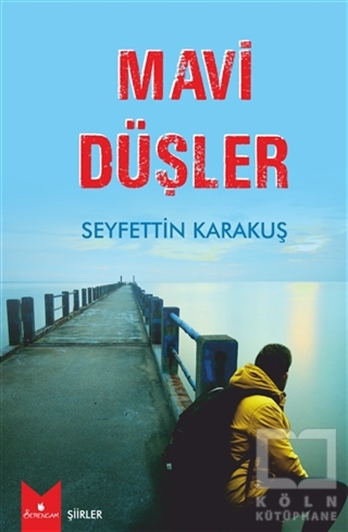 Seyfettin KarakuşŞiirMavi Düşler