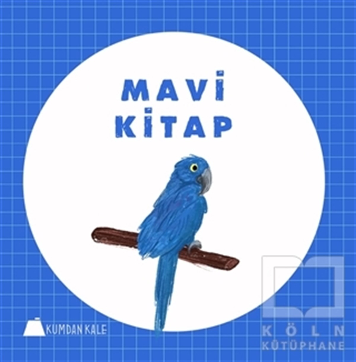 Işıl ErverdiOkul Öncesi Resimli KitaplarMavi Kitap
