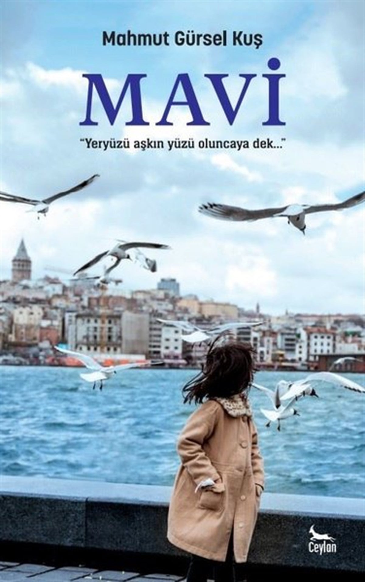 Mahmut Gürsel KuşTürkiye RomanMavi