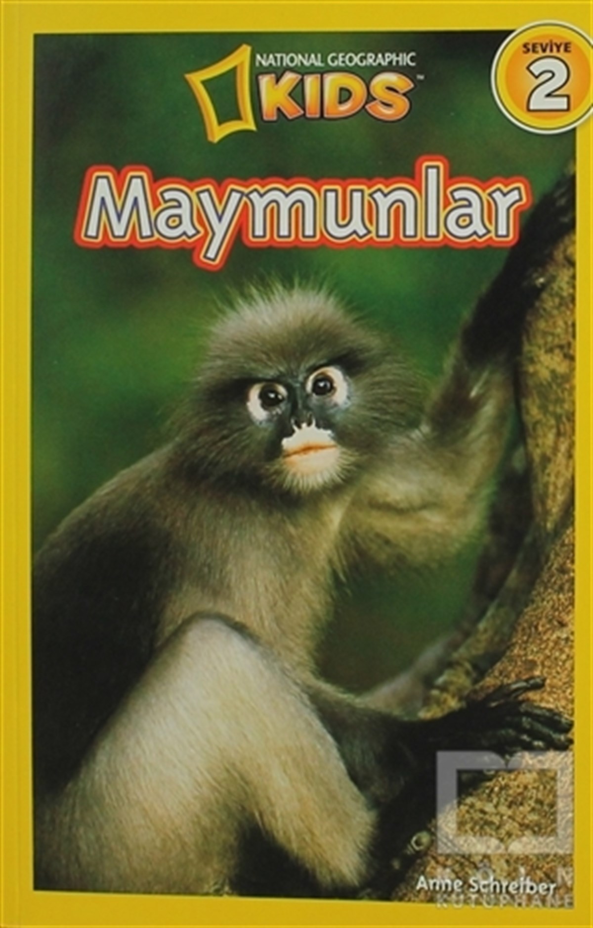 Anne SchreiberDiğerMaymunlar