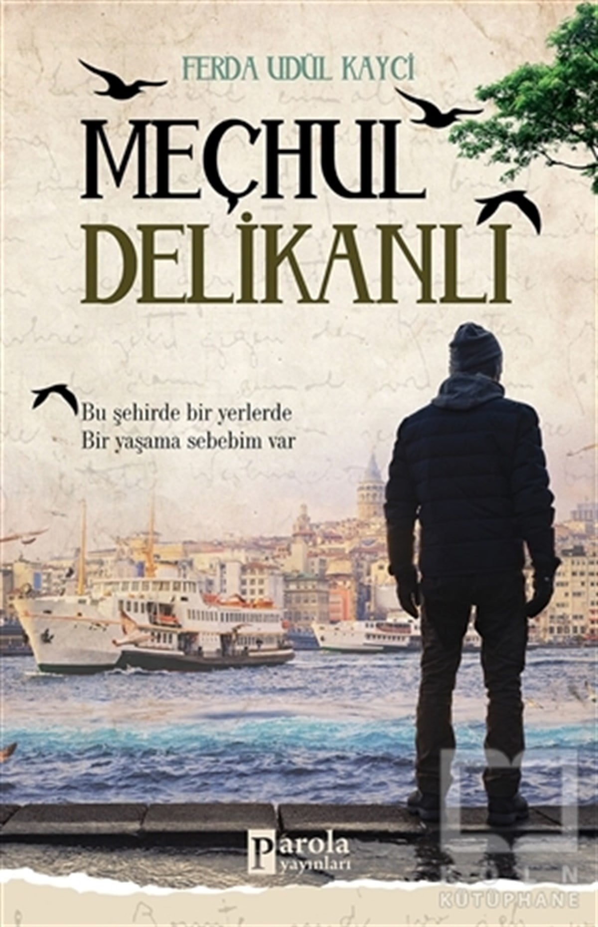 Ferda Udül KayciRomanMeçhul Delikanlı