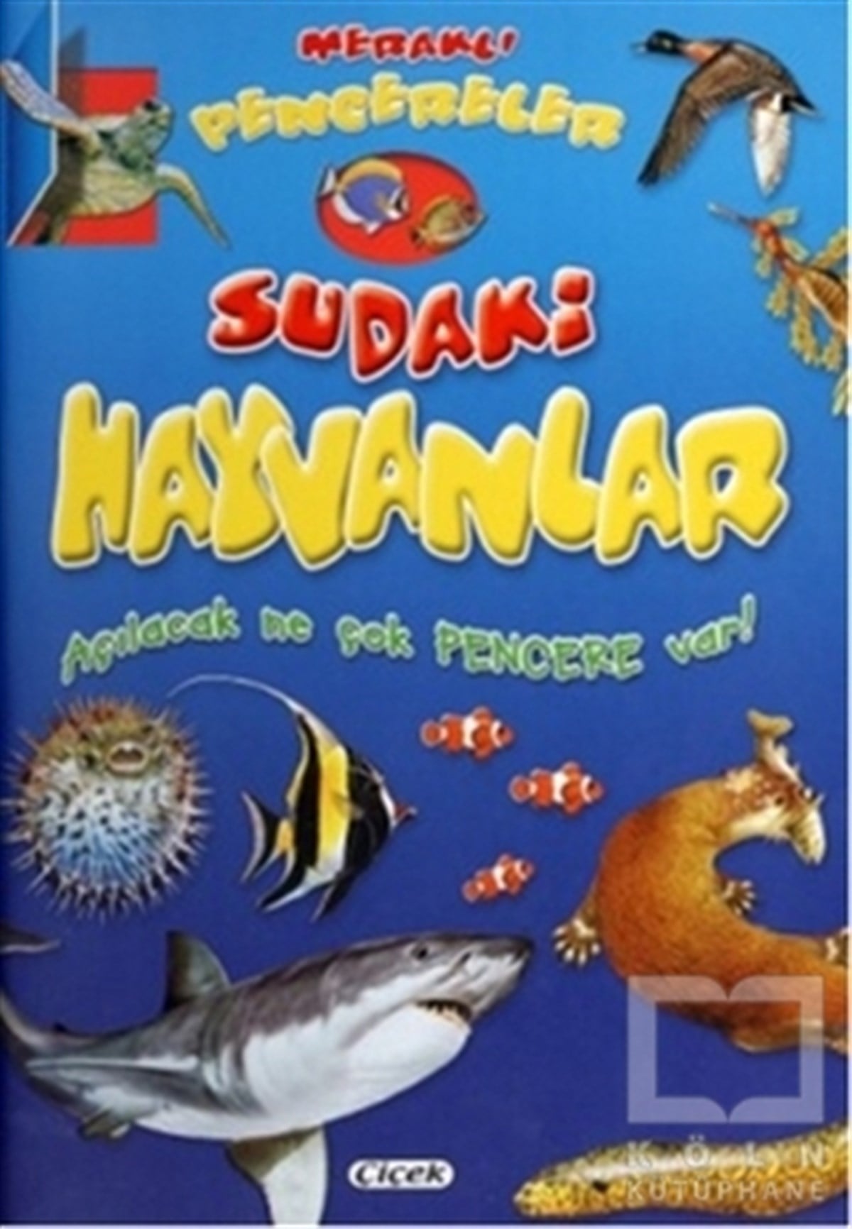 KolektifBoyama KitaplarıMeraklı Pencereler - Sudaki Hayvanlar