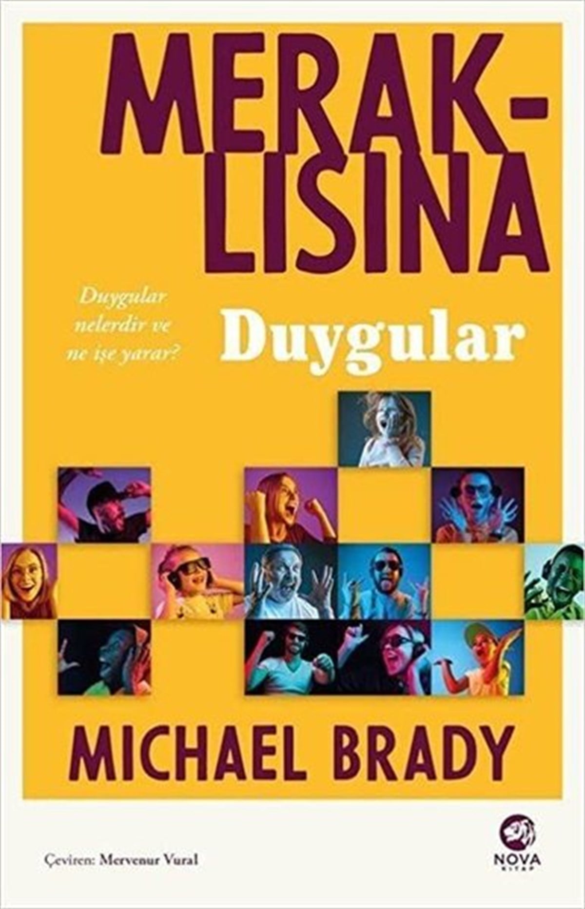 Michael BradyFelsefe BilimiMeraklısına Duygular