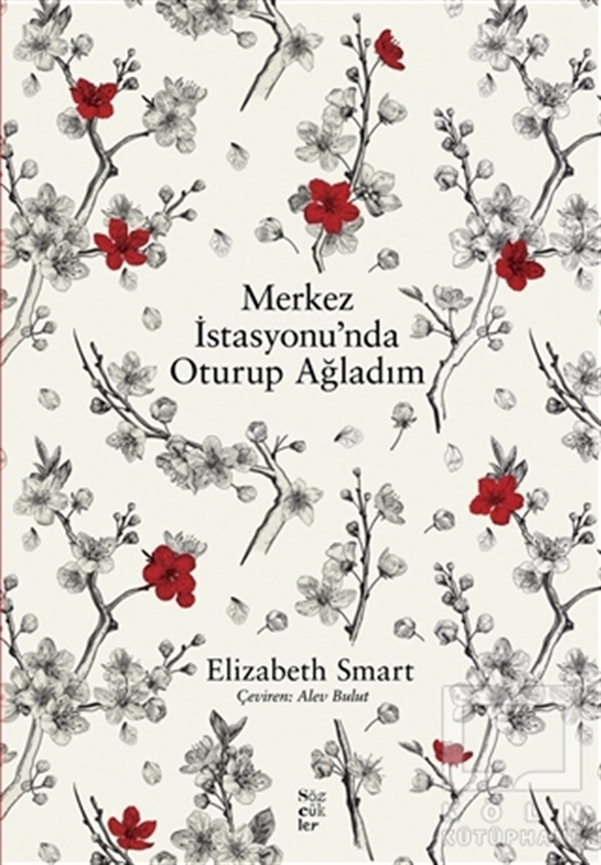 Elizabeth SmartRomanMerkez İstasyonu’nda Oturup Ağladım