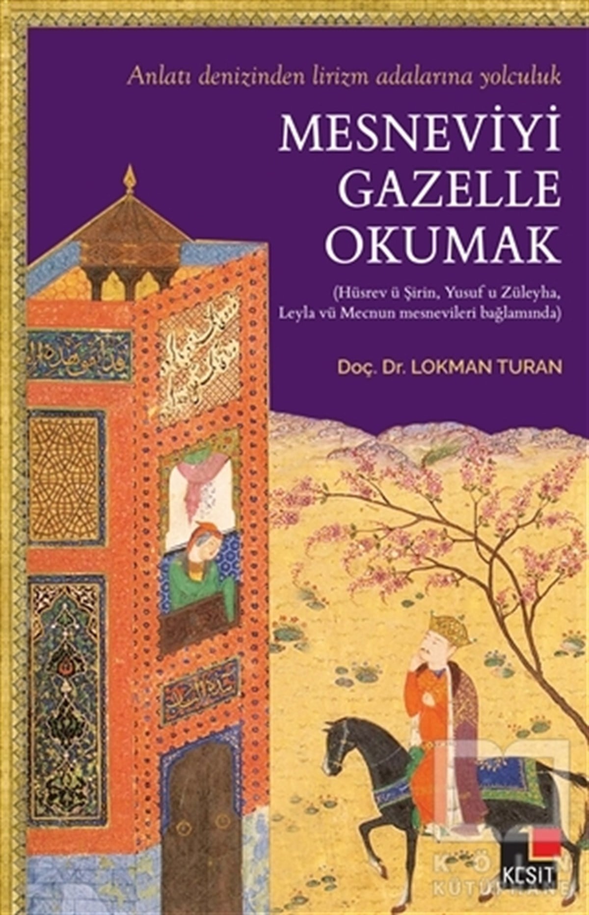 Lokman TuranDil BilimMesneviyi Gazelle Okumak