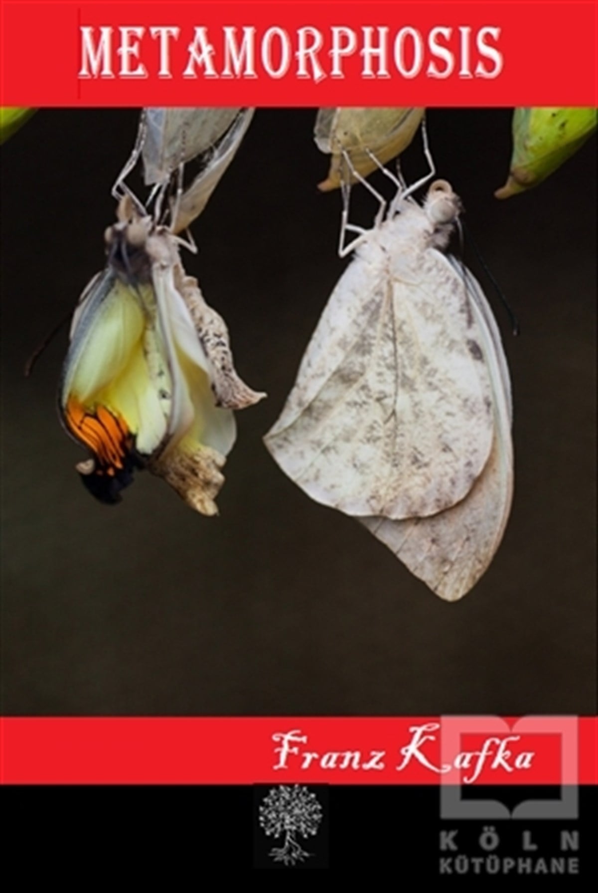 Franz KafkaDiğerMetamorphosis