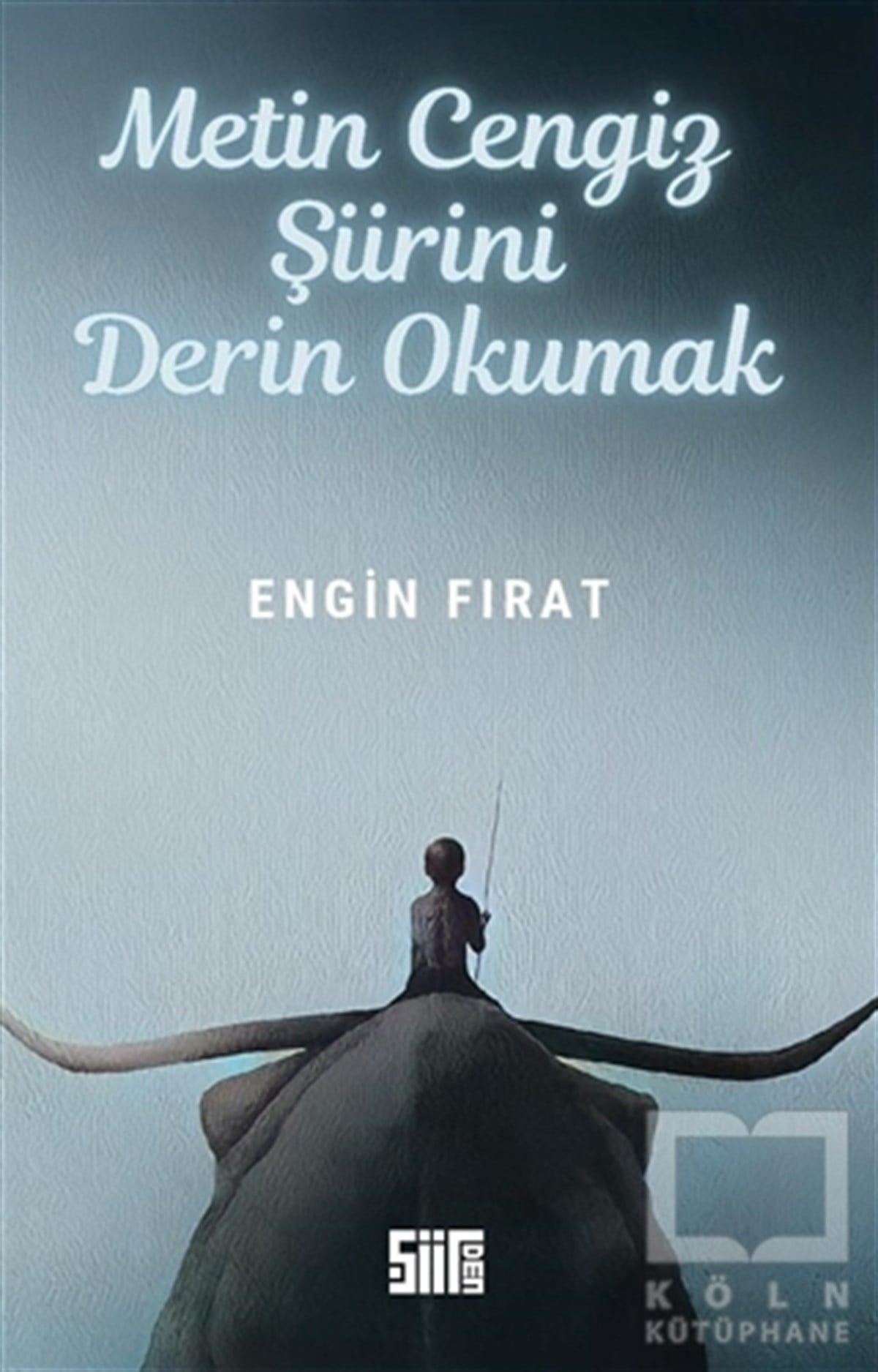 Engin FıratTürkçe Şiir KitaplarıMetin Cengiz Şiirini Derin Okumak