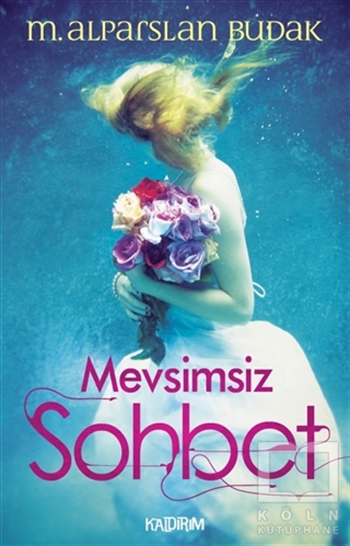 M. Alparslan BudakÖyküMevsimsiz Sohbet