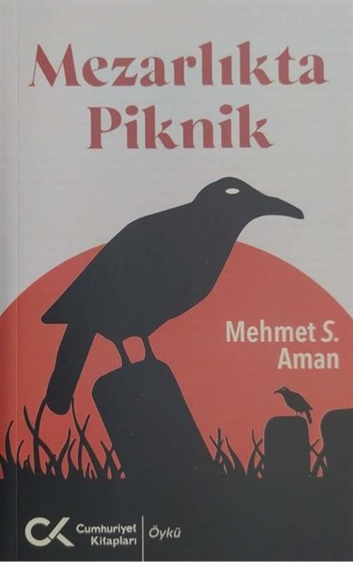 Mehmet S. AmanTürkiye RomanMezarlıkta Piknik
