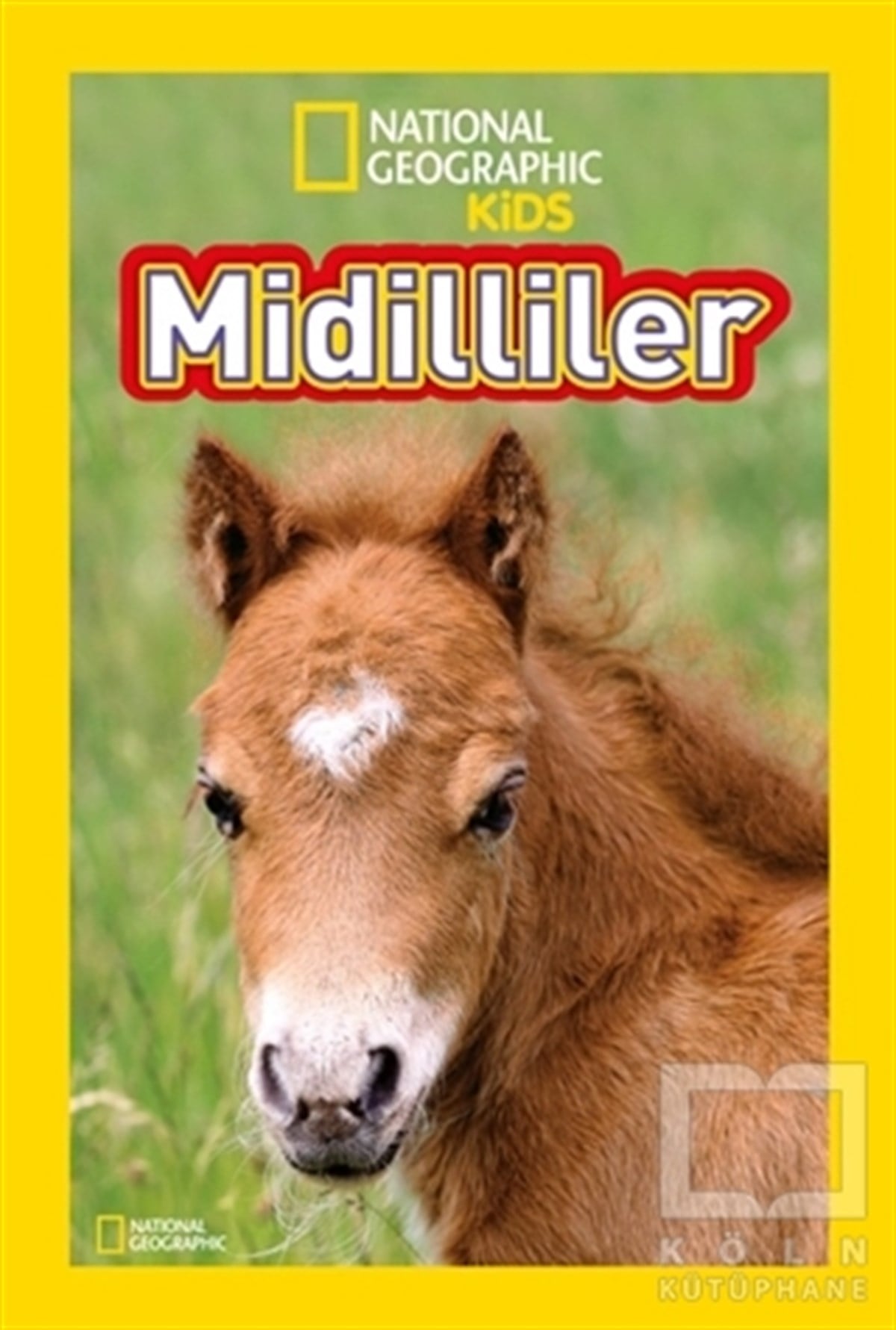 Laura MarshReferans Çocuk KitaplarıMidilliler - National Geographic Kids