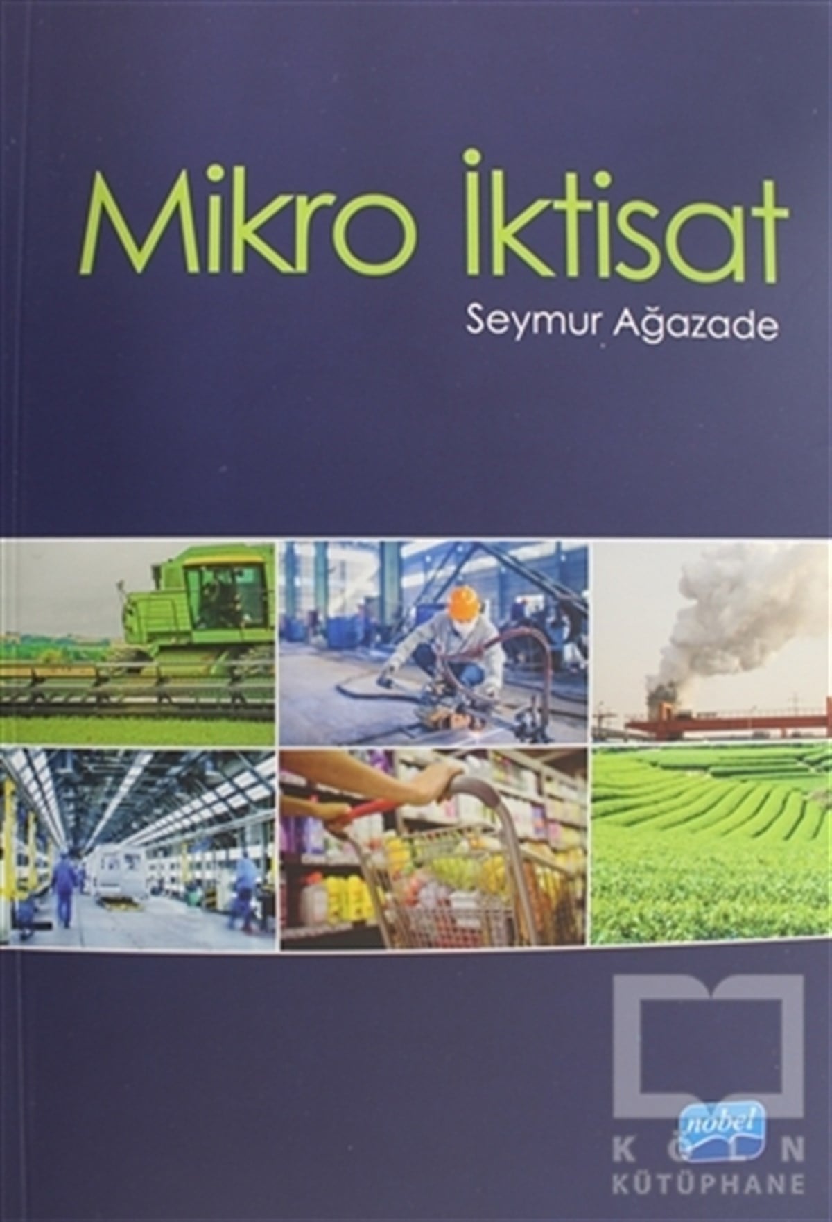 Seymur AğazadeDiğerMikro İktisat