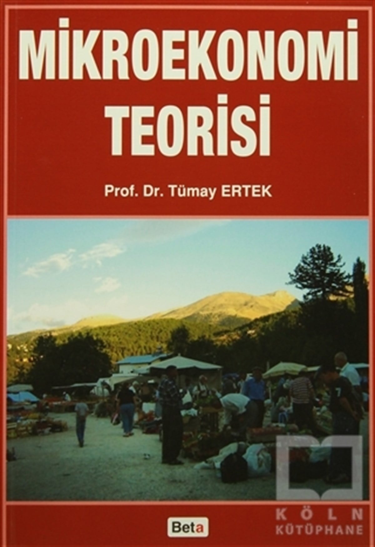 Tümay ErtekAkademikMikroekonomi Teorisi
