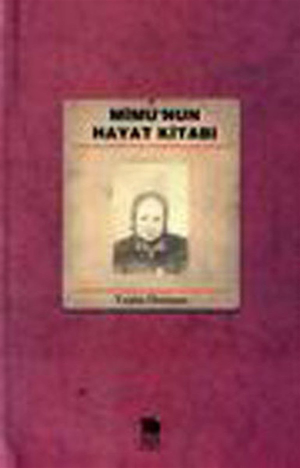 Yeşim Dorman MüderrisoğluTürkiye RomanMimu'nun Hayat Kitabı