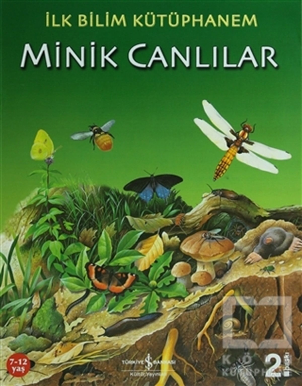 KolektifBilimsel KitaplarMinik Canlılar