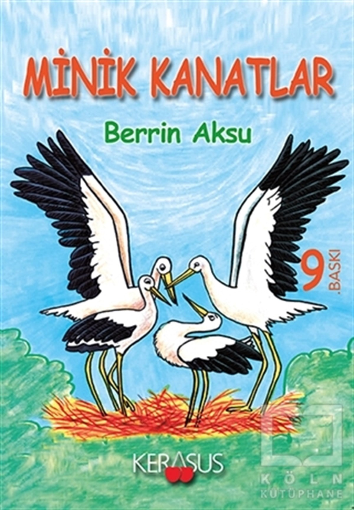 Berrin AksuHikayelerMinik Kanatlar