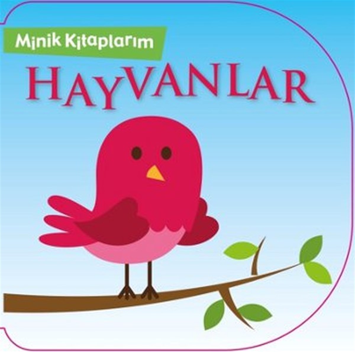 KolektifEgitim Etkinlik KitaplariMinik Kitaplarım Hayvanlar