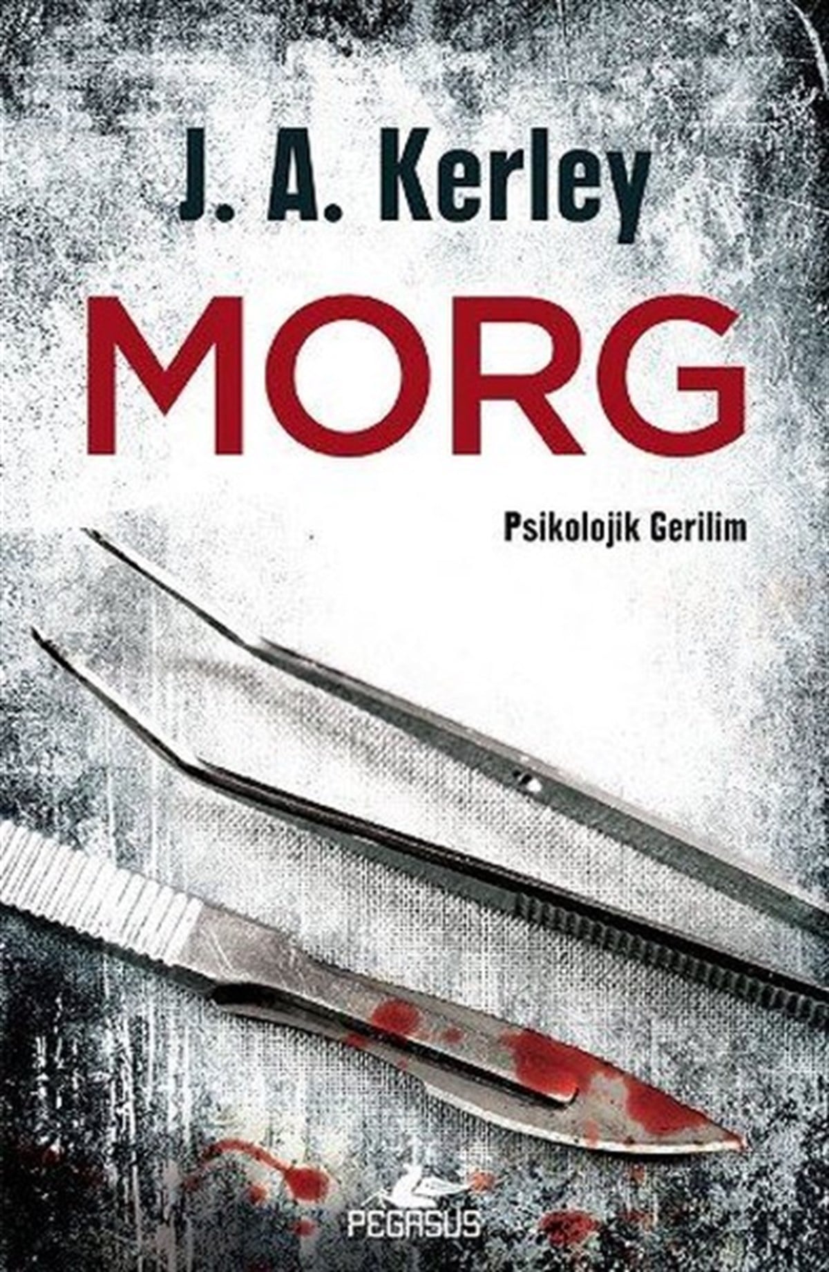 J. A. KerleyKorku Kitapları & Gerilim KitaplarıMorg