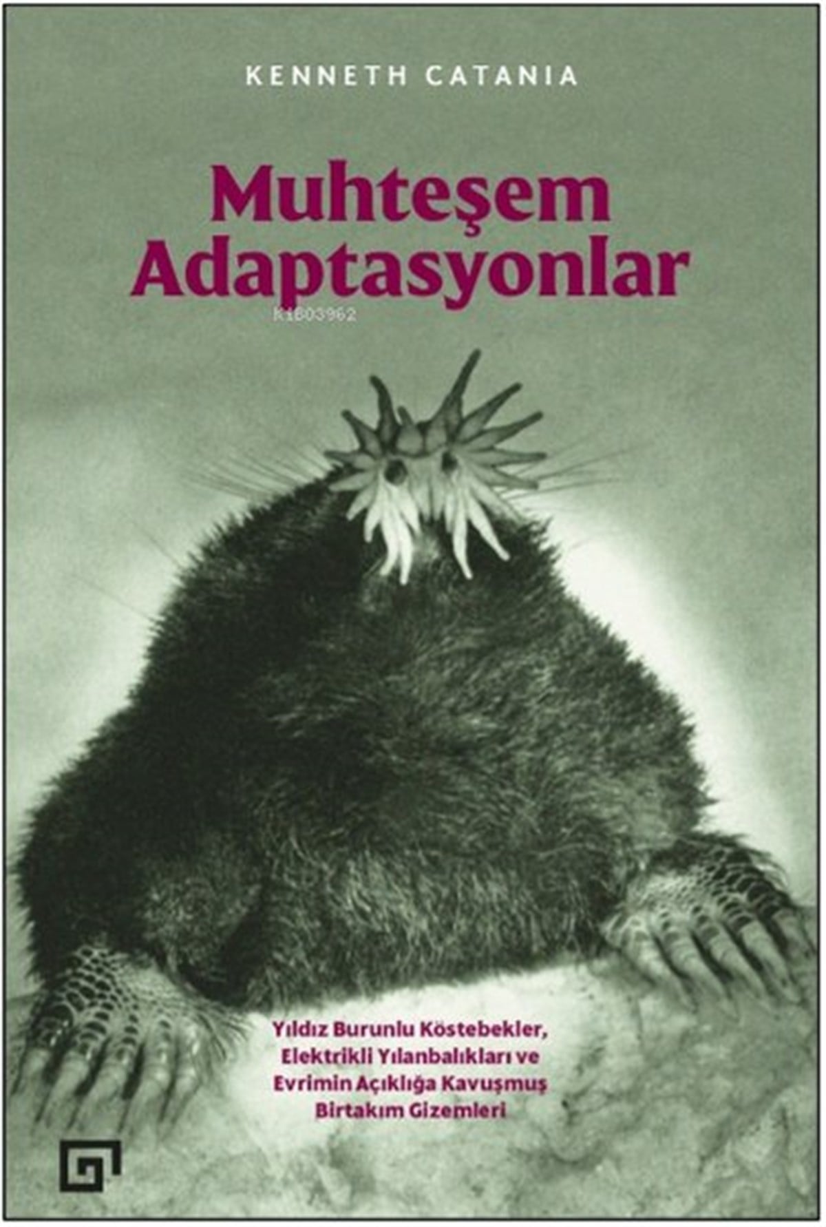 Kenneth CataniaPopüler Bilim KitaplarıMuhteşem Adaptasyonlar