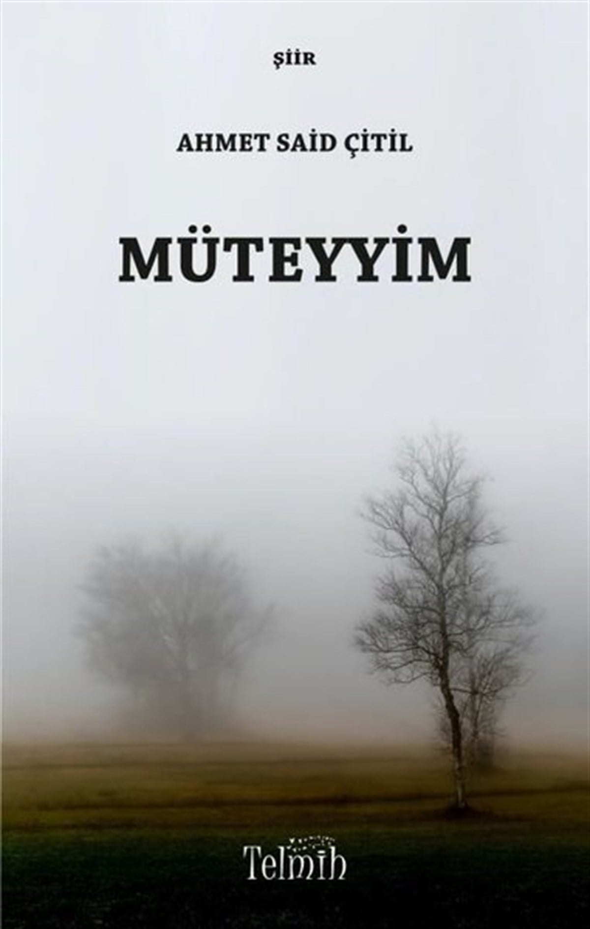 Ahmet Said ÇitilTürk ŞiiriMüteyyim