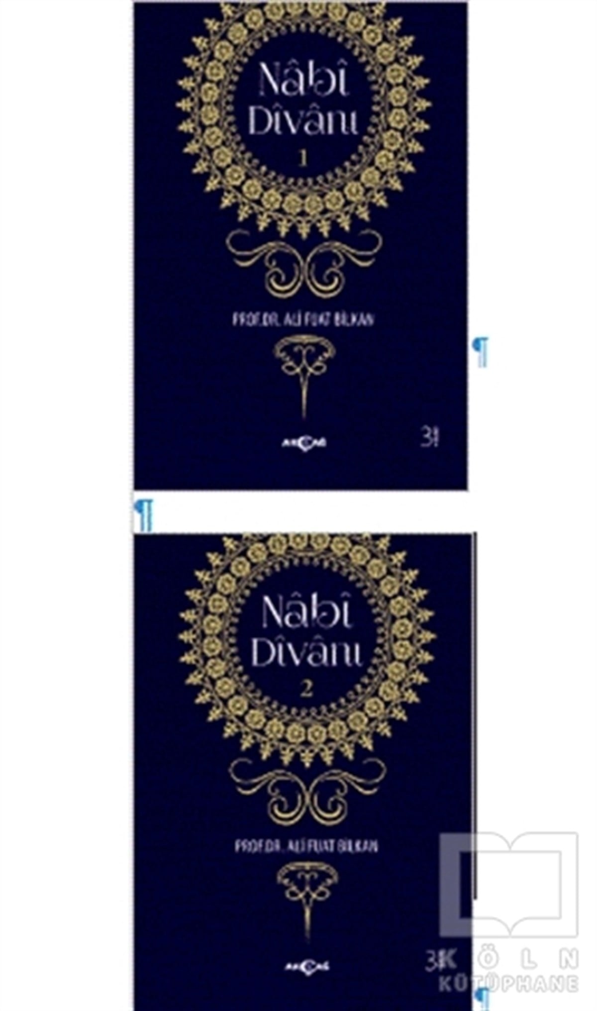Ali Fuat BilkanTürkçe Şiir KitaplarıNabi Divanı (2 Kitap Takım)