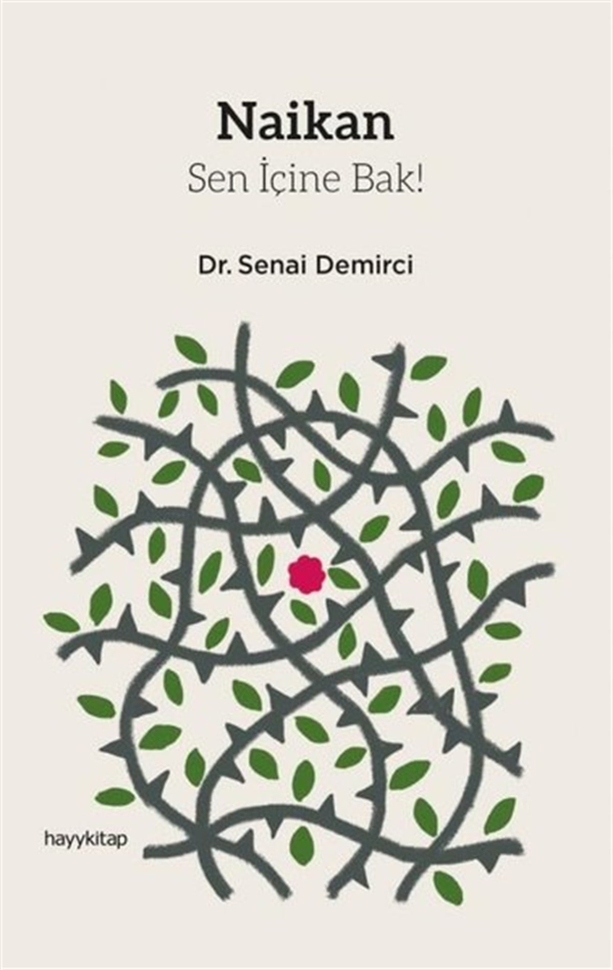 Senai DemirciKişisel Gelişim KitaplarıNaikan-Sen İçine Bak!