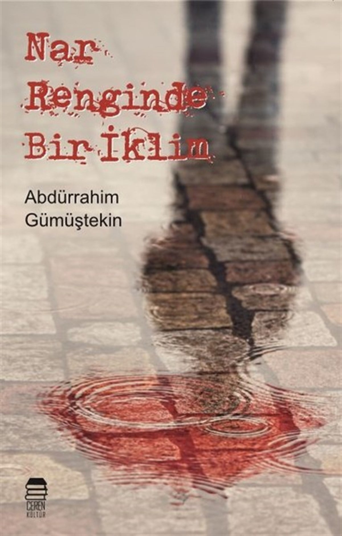 Abdürrahim GümüştekinTürkiye RomanNar Renginde Bir İklim